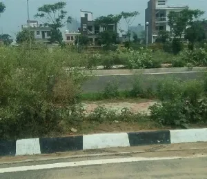 Eco City