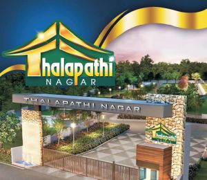 Thalapathi Nagar