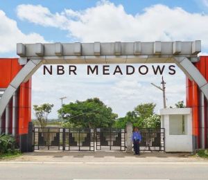 Nbr Meadows