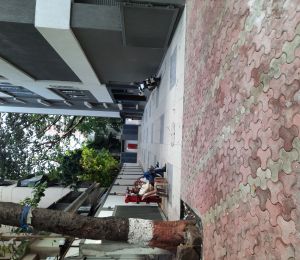 Endemic Shamji Ladha