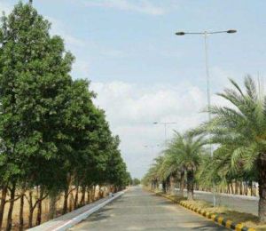 Creative New Vision Township