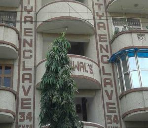 Aditya Enclave