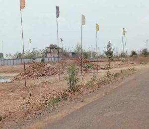 Jabili Hills