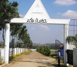 Eco Vista