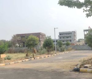Pavan Lifespace