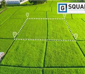G Square Sunnyvale