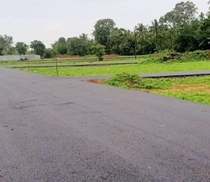 Darshan Garden