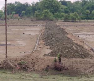 Satna Plots