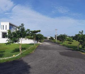 Maheshwari Garden