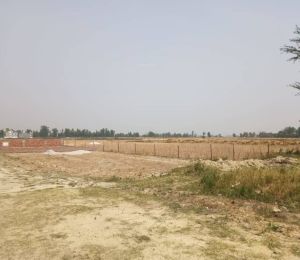Krishna City