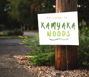 Kamyaka Woods