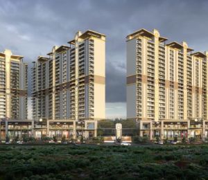 Affinity Belgravia