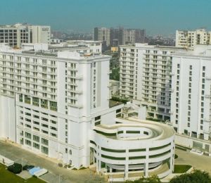 Dlf My Pad