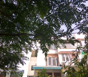Hill View Apartment