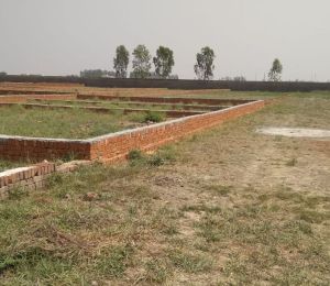 Rose Valley