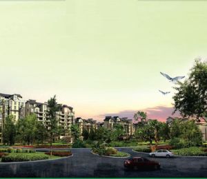Amari Heights
