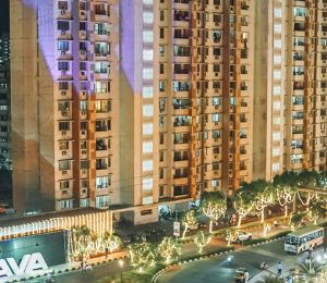 Lakeshore Greens Viento