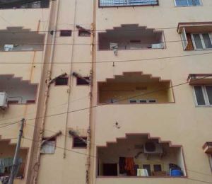 Surya Enclave Apartment