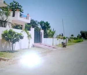 Arsha Madhav Greens