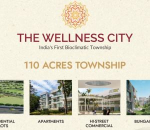 The Wellness City