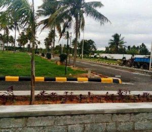 Akshaya Quietlands