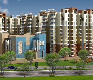 Chandaka Meadows