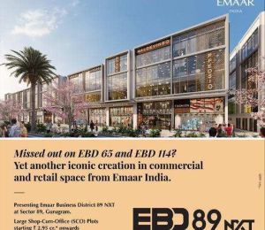Ebd 89 Nxt