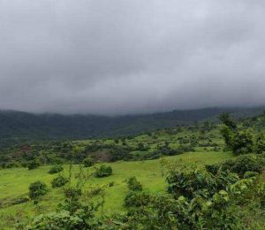 Paal Hills