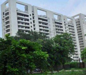 Dlf Phase 2