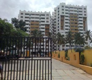 Golden Palms