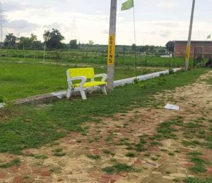 Rohtak Green City