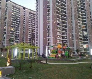 Great Value Sharanam