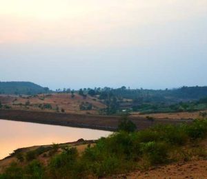 Subhadra Pastures