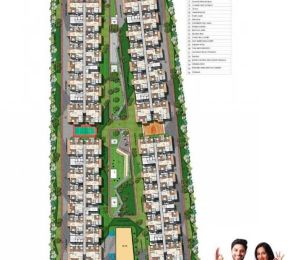 The Marvel Of Miyapur