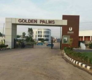 Golden Palm Society