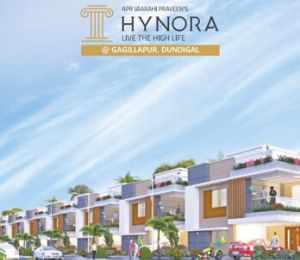 Apr Vaarahi Praveens Hynora