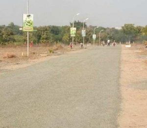 Dhanbhoomi Society