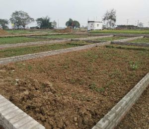 Devnagri Green City