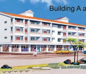 D N Garden Homes