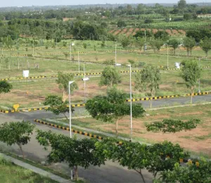 Mayura City