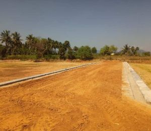 Nisha Luxury City