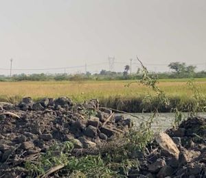 Sohna South City