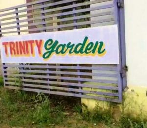 Trinity Garden