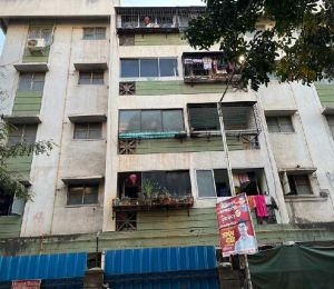 Gardenia Phase Ii