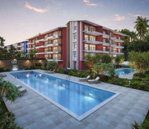 Acron Seawinds