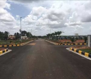 Glentree Pharma County