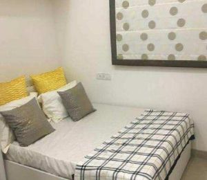 Trishul Gold Coast