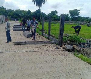 Shri Gokul Green Farms