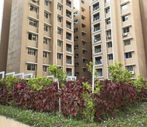 Anandam World City