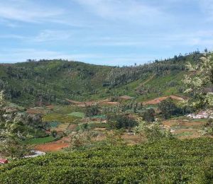 Siri Valley